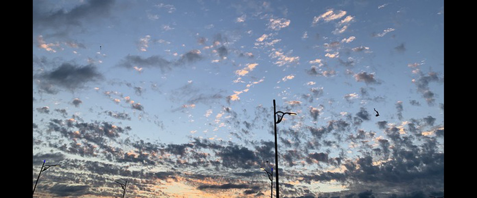 德光精密有限公司